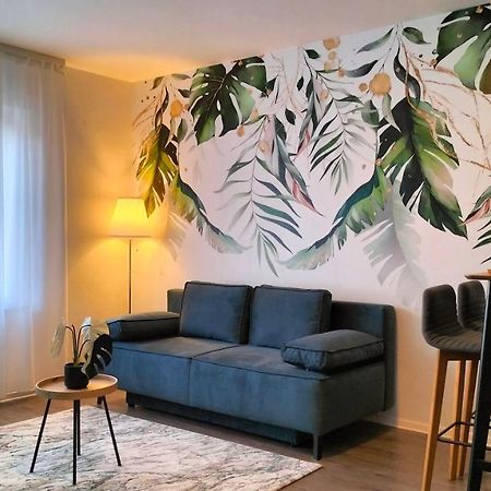 Апартаменты King Bed 4 People Near Basel, Switzerland, Weil Am Rhein, Loerrach, Germ'Any, Near Airport Сен-Луи Экстерьер фото