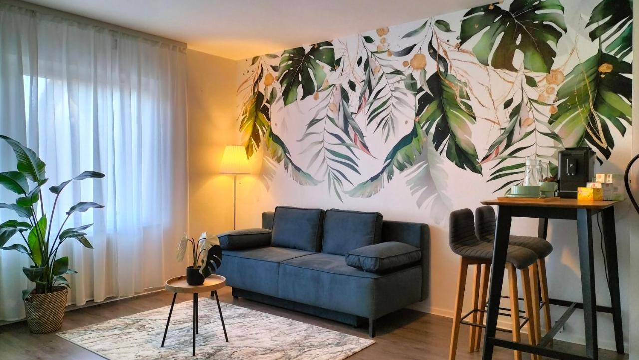 Апартаменты King Bed 4 People Near Basel, Switzerland, Weil Am Rhein, Loerrach, Germ'Any, Near Airport Сен-Луи Экстерьер фото
