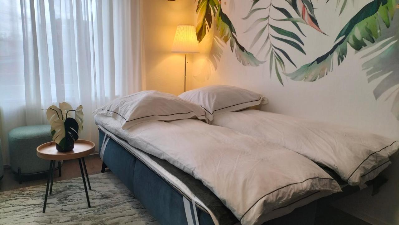 Апартаменты King Bed 4 People Near Basel, Switzerland, Weil Am Rhein, Loerrach, Germ'Any, Near Airport Сен-Луи Экстерьер фото